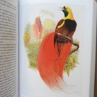 CHARLES DARWIN - THE ORIGIN OF SPECIES. ILLUSTRATED FOLIO SOCIETY 2008 EDITION