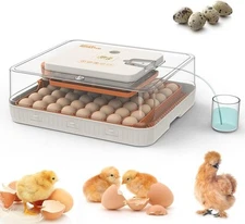 56 EGG Incubator for Hatching Egg Temperature Humidity Control Candle Dual Power