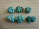 Natural Botryoidal Turquoise Nuggets 53  gram  A+++