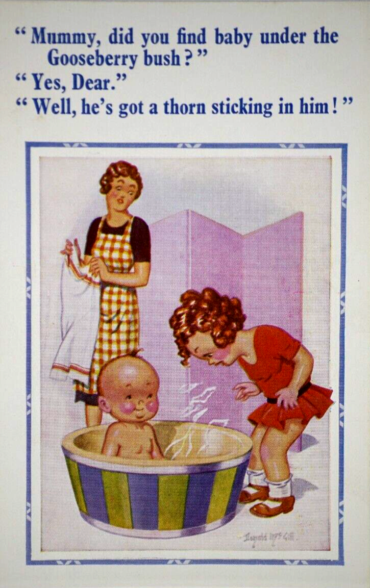 Postcard Seaside Comic Saucy Risqué Gooseberry Bush Constance Donald McGill 177