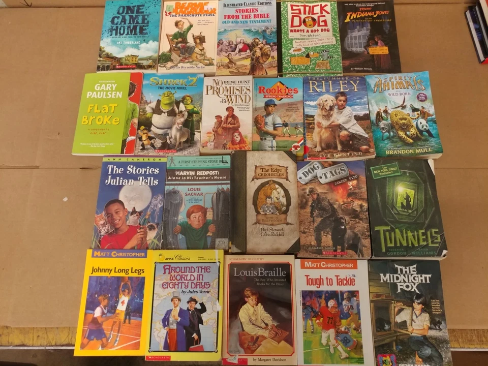 Lot of 20 Chapter Books for BOYS Youth Early Reader Young Adults Children RANDOM Foto 4 de 4