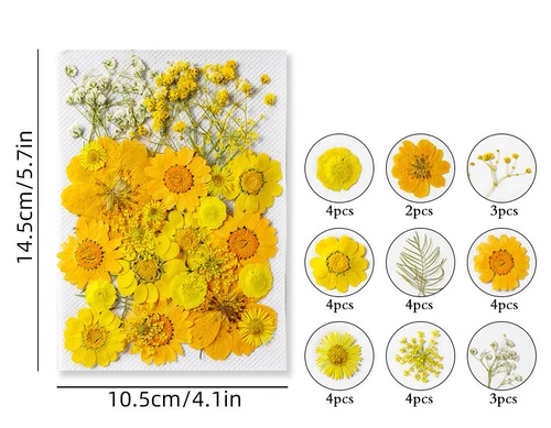 Dried Pressed Flowers Natural Epoxy Resin Candle Nail Art Scrapbooking Craft AU - Picture 33 of 210