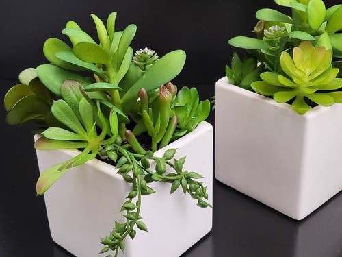 Lot of 4 Mini Artificial Succulent Fake Plants Ceramic White Planter Pot 4x4x7" - Picture 7 of 12