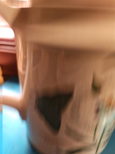 Portmeirion Botanic Garden- Spanish Gum & Bindweed -1972 Mark- 5 Cup Coffee Pot - Picture 4 of 13