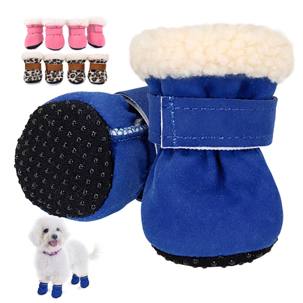 Padded dog shop shoes