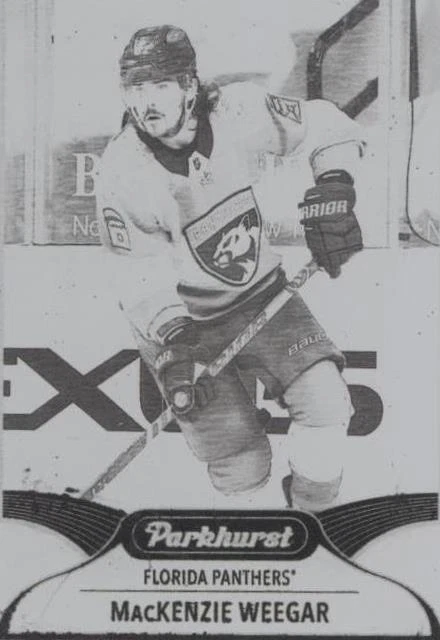 Printing Plate Black