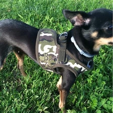 Dog Harness Vest, Soft No Pull Adjustable, Green Camo, Medium 14-15.5" chest