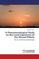 Solomon Tefera | A Phenomenological Study On The Lived Experience Of The...