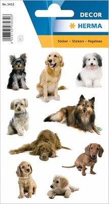HERMA 3432 Aufkleber Hunde klein groß, 27 Stück, Tiere Sticker mit Labrador Dack