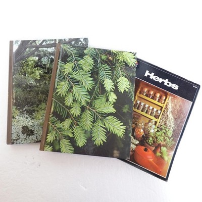 Vintage Gardening Book Lot Herbs Heriteau + Time-Life Evergreens Shade Gardens