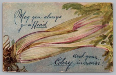 Postcard May You Always Go A Head and Your Celery Increase Humor Best Wishes