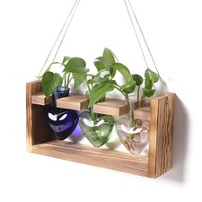 Heart-Shaped Glass Vase Plant Propagation Station for Home Garden Decor