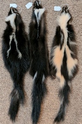 Damaged Wild Skunks~Fresh Tanned Hides~Soft Leather~Craft~Pelt~Soft Fur.  