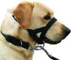 Kumfi Dogalter Head Halter Dog Training Aid Collar Training No Pulling XL