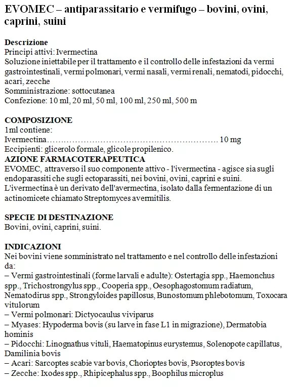 Foto 2 di 6