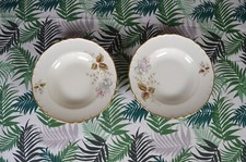 N8811 SET COPPIA 2 PIATTI FONDI IN PORCELLANA RICHARD GINORI SERVITO SERVIZIO