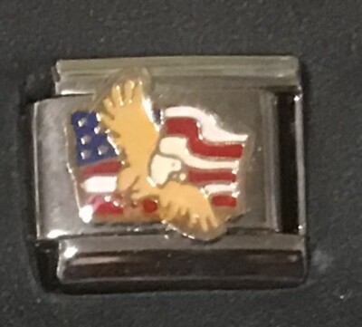 Flying Eagle American Flag Wholesale Italian Charm Enamel 9mm Link K40