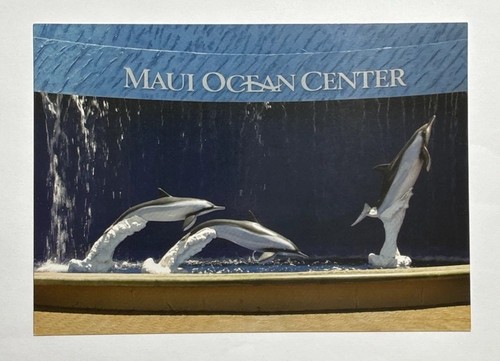 Dolphin Falls Maui Ocean Center The Hawaiian Aquarium Postcard Unposted