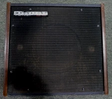 Magnatone Custom 130V Amplifier  RARE Solid State Amplifier By Estey