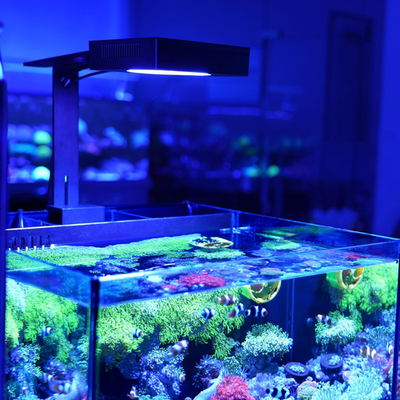 Navareef 65 Reef LED Light, 65W Reef Aquarium Lighting for Soft