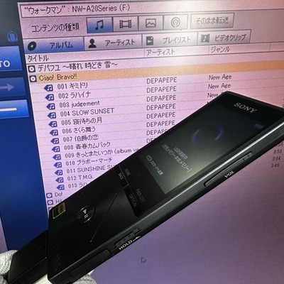 Sony NW-A27 Walkman 64GB Hi-Res Digital Music Player Tested