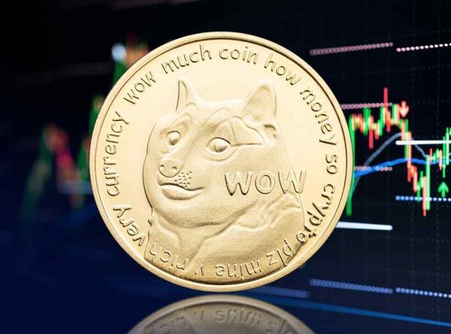 Dogecoin Doge Münze Kryptowährung Sammlerstück Gold Gedenkmünze Sammler Geschenk