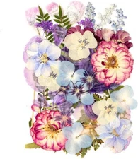 35+Pcs Purple Flowers for Resin Model, Real Pressed Flowers Dry Leaves Bulk Natu