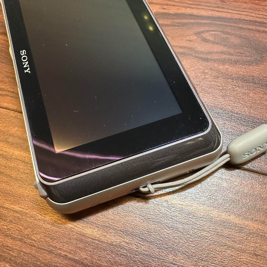 Sony Cyber-shot DSC-T110 16.1MP Digital Camera - Silver for