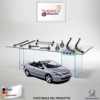 Set GestäNge 10 StüCke Peugeot 307 Cc 2.0 16V 103KW 140CV Von 2009->