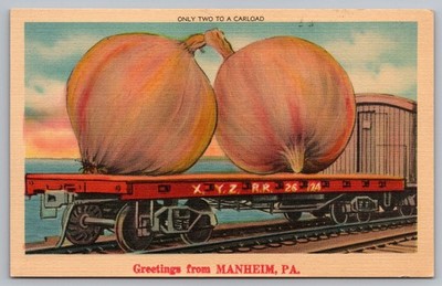 Greetings Manheim PA Exaggerated Onions on Train Freak Vegetables Postcard