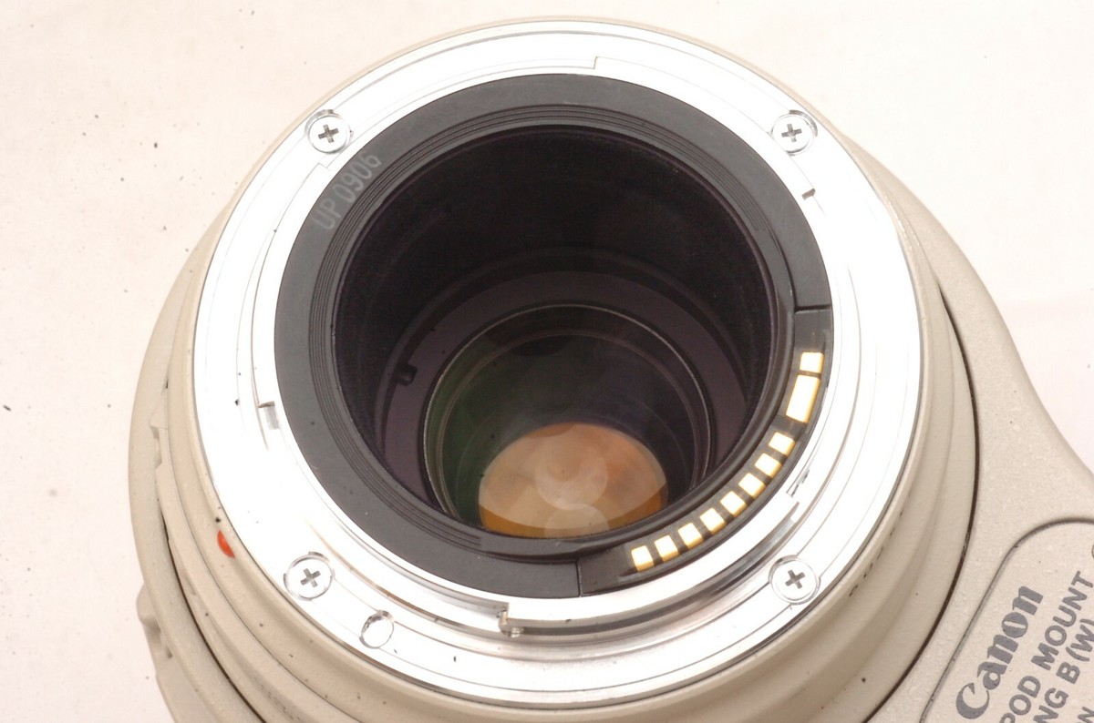 SakuraDo Camera @ Near Mint! @ Canon Zoom EF 100-400mm f4.5