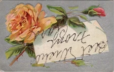 Carnation Yellow RoseVintage Postcard Spc15