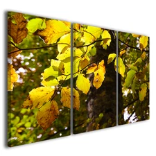 Modern Paintings Flowers Foliage Sun Radiated Canvas Prints Nature