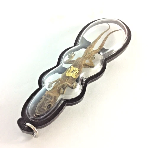 Mystic 2 Tails Amulet Sacred Tokay Power Wealth Luck Powerful Gambling Pendant - Picture 2 of 8