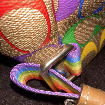 NWT Coach C4097 Pennie Backpack 22 in Rainbow Signature  display picture 3