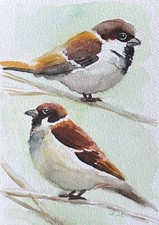 Spatz Original Wasserfarben Malerei, Sperling Aquarell Gemälde, 13x18 cm