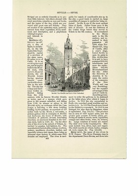 Sevilla. La Giralda und Kathedrale., Spanien, kleine Buchillustration (Druck), 1903