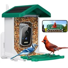 Smart Bird Feeder with Camera, AI Bird Species Identification Solar Green