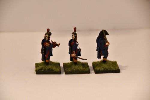 28mm Napoleonic French Old Guard Grenadier Command Group, Plastic/Metal,See Desc - Picture 17 of 24