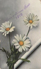 CP ICEE HAPPY HAPPY YEAR 1916 DAISIES - 29585