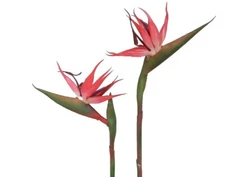 (2 pcs) Red Tropical Bird of Paradise 24"H Stem Quality Silk Flower Plant Decor