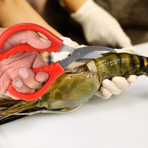 Stainless Steel Seafood Scissors - 8 Piece Set for Crab, Shrimp, Lobster & More - Picture 8 of 11