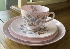 Tuscan Blue Star Bone China Tea Cup, Saucer and plates Vintage Floral Pink