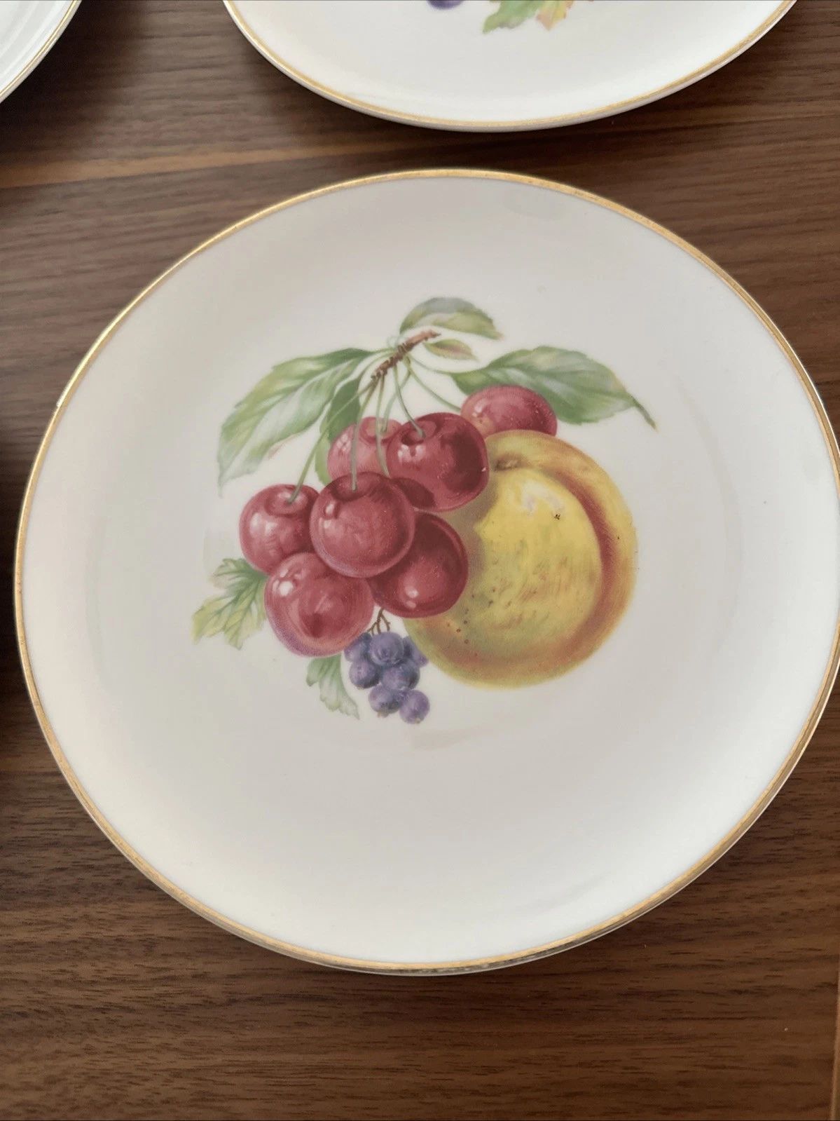 Hutschenreuther Pasco Plates - Thumbnail 3