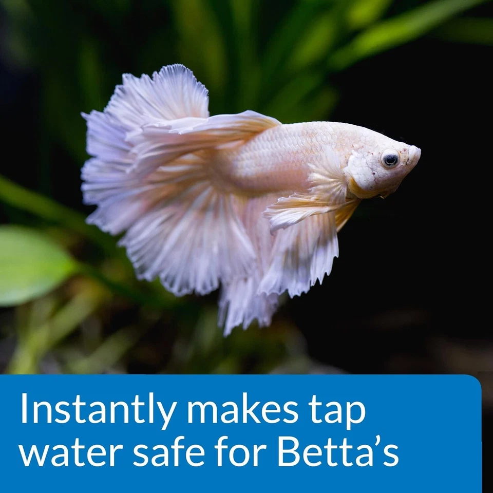 API Betta Water Conditioner – Tap Detoxifier for Safe Healthy Freshwater Fish - Image 4 of 4