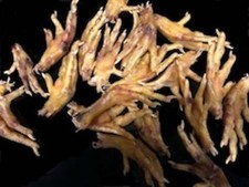 Cluck Claws for Dogs & Ferrets  (10 pcs)