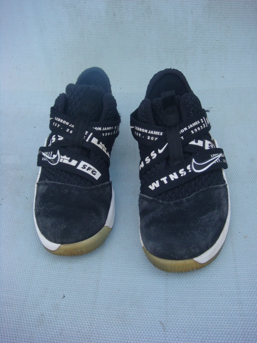 Lebron james sfg shoes cheap