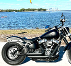 2019 Harley Davidson Softail