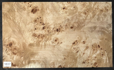 BiColor Maser Pappel | Poplar BURL | ca. 330 x 195 x 50 mm | #1637
