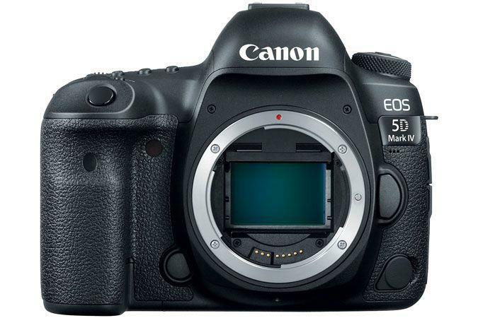 Canon EOS 5D Mark IV + EF70-200mmf2.8LⅡ Canon EOS 5D Mark IV with EF 70-200mm f/2.8L IS III USM Lens
